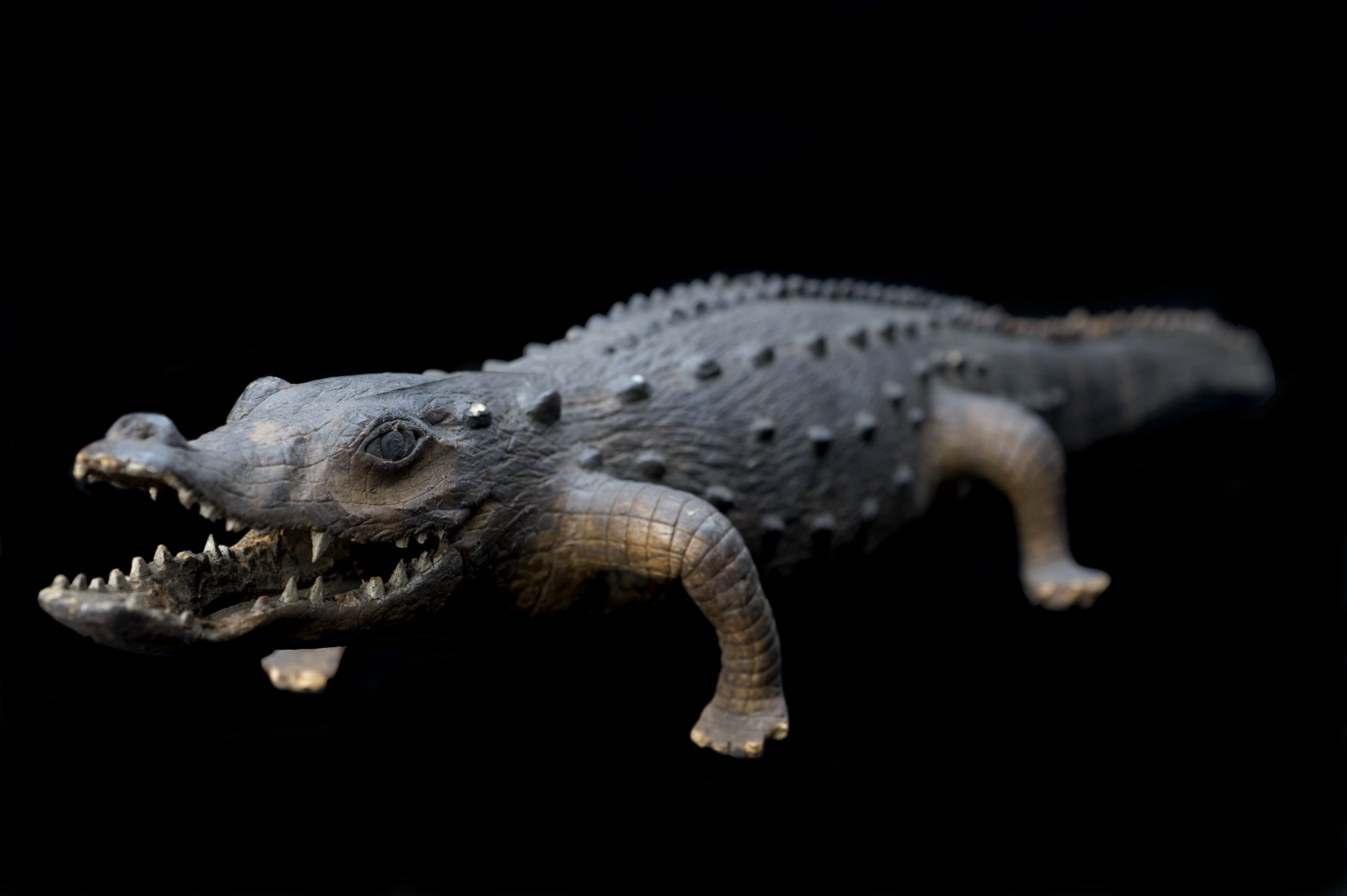 Model alligator, England, 1801-1900